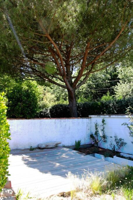 Maison Acces Direct Plage Sur L'Ile D'Oleron - Location A La Semaine Uniquement Villa La Cotinière Eksteriør billede